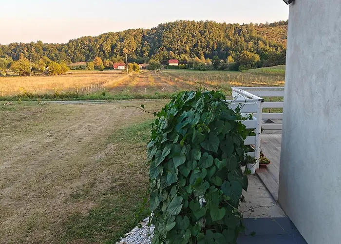 Дом отдыха House Of The Rising Sun Градишка